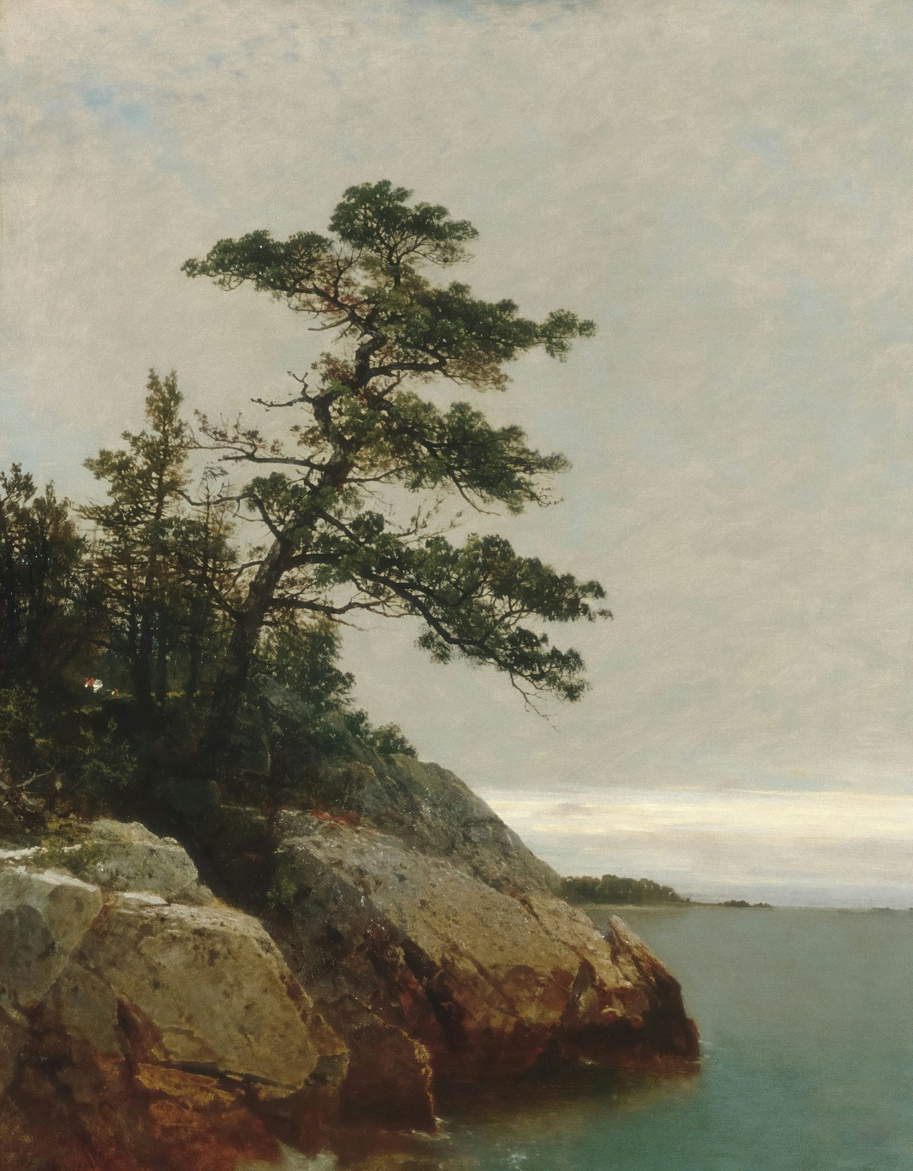 Rocky, tree-lined coastal point overlooking calm water
